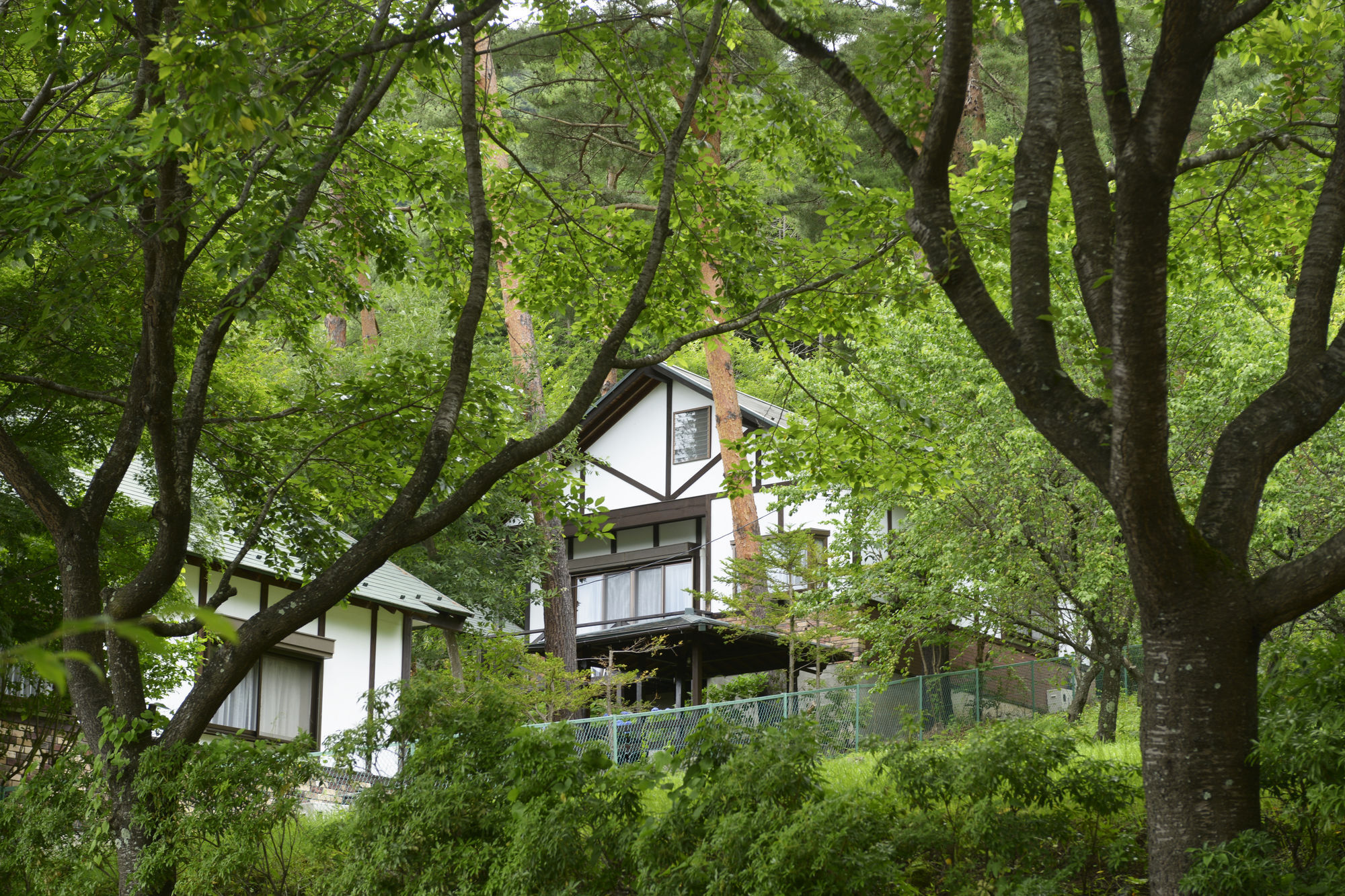 Kawaguchiko Country Cottage Ban Fudzsikavagucsiko Kültér fotó