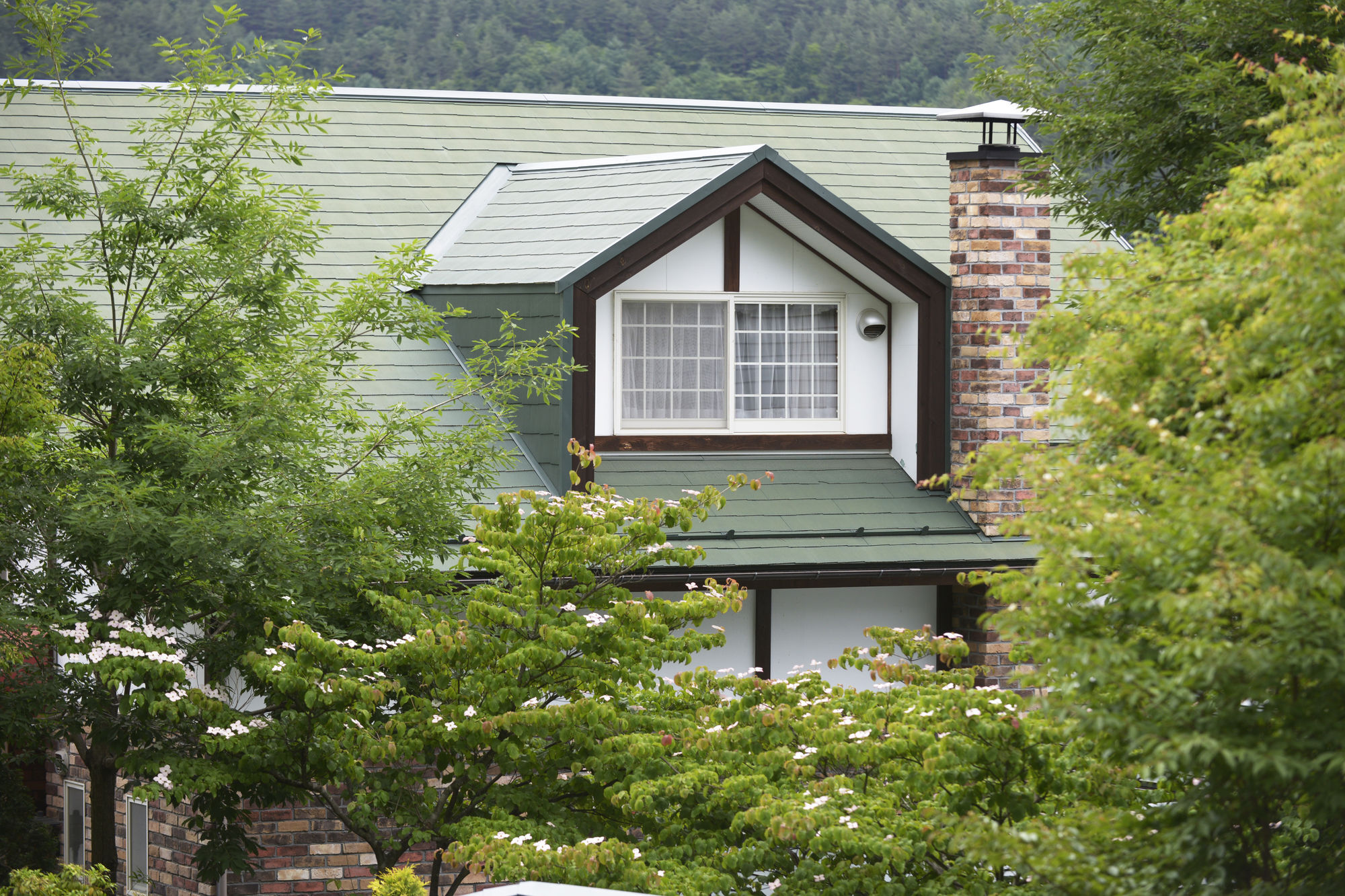 Kawaguchiko Country Cottage Ban Fudzsikavagucsiko Kültér fotó